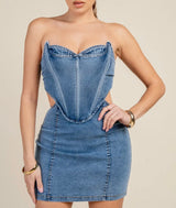 Denim Dreamer Mini Dress