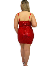 Ruby Sequin Mini Dress